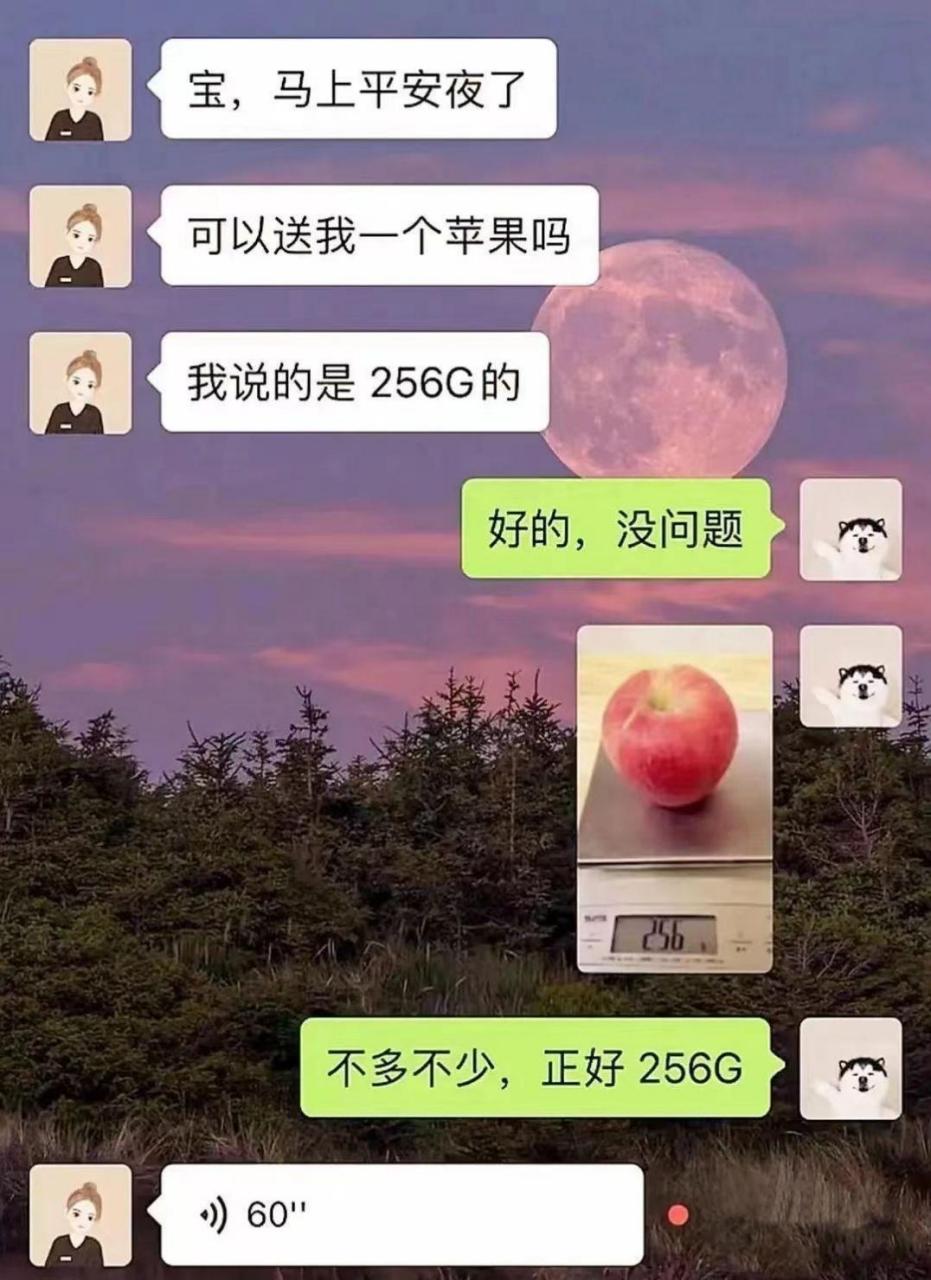 苹果手机版60秒苹果手机全部型号一览表