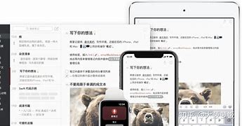 熊掌技师苹果版bear熊掌记下载-第2张图片-太平洋在线下载