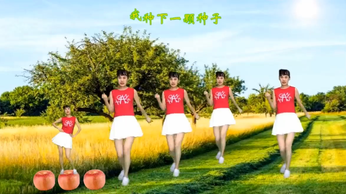 打仗版小苹果小苹果电视版安装包