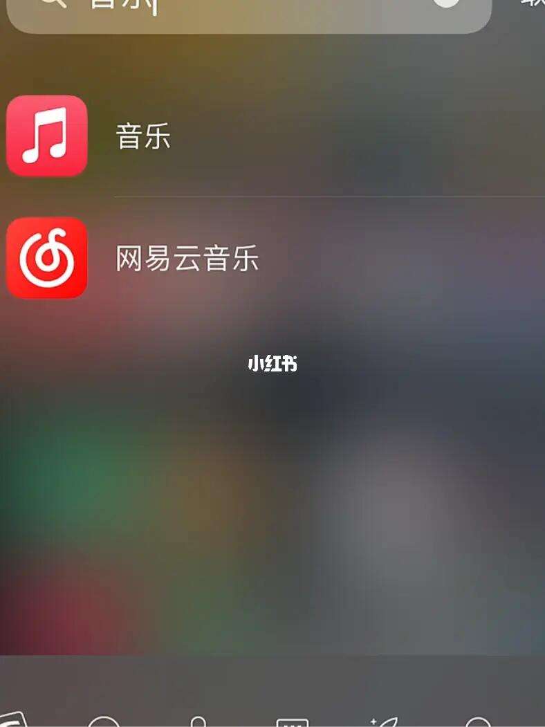 苹果版破解网易云网易云音乐免费解锁版