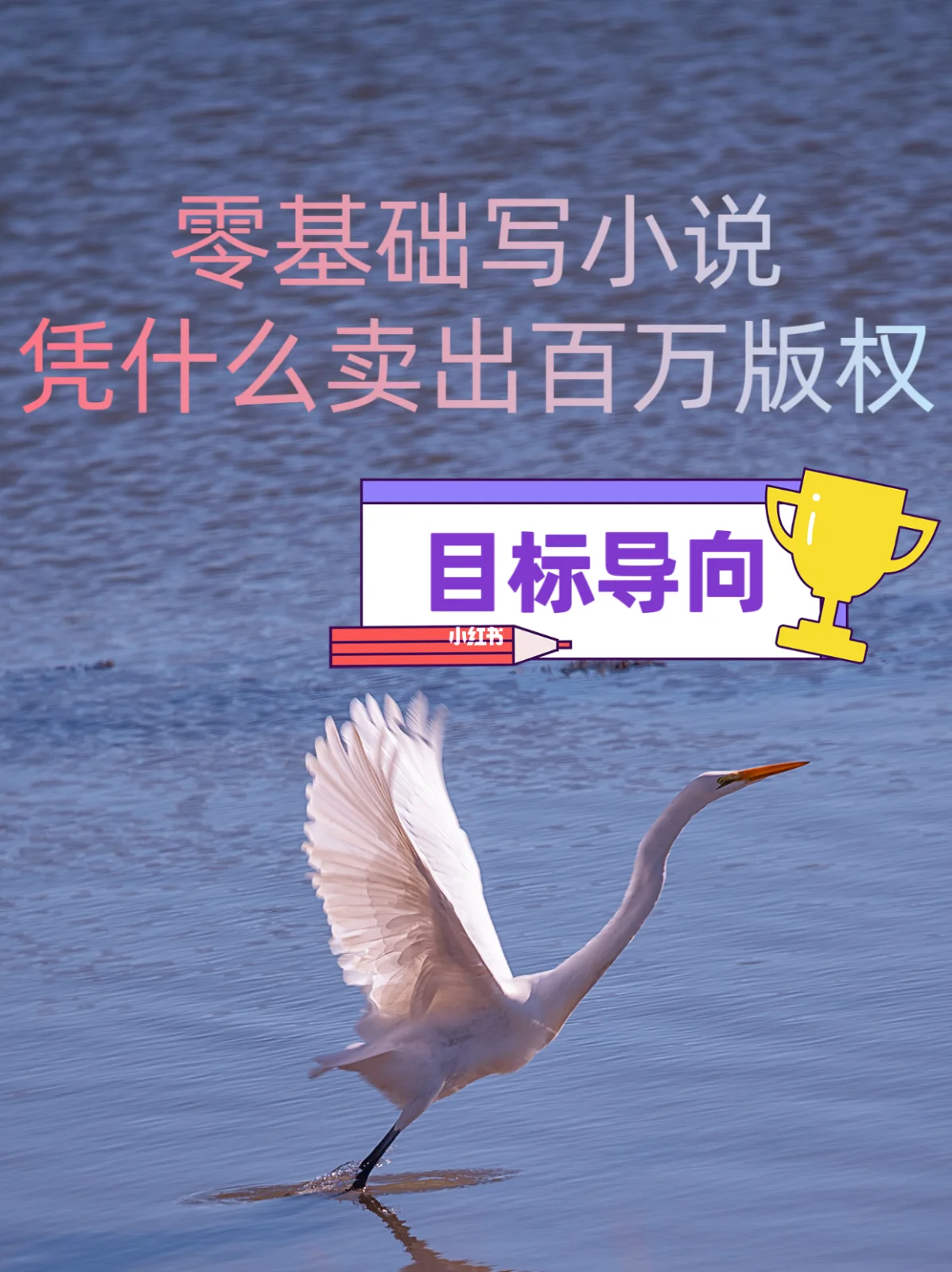 小说的目标客户端注册商标费用多少钱-第2张图片-太平洋在线下载
