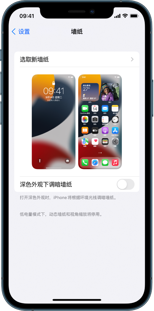 苹果手机版屏幕显示苹果外屏碎了多少钱修