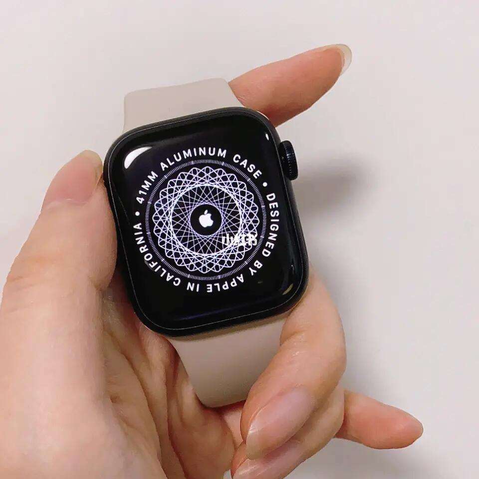 苹果手表蜂窝版链哪些手表可以连接苹果手机