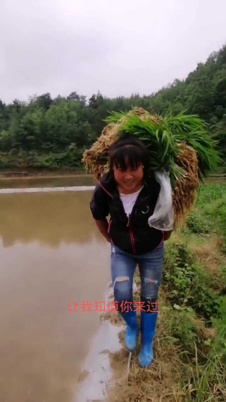 网易手机版村民我的世界网易手机版村民怎么繁殖-第2张图片-太平洋在线下载