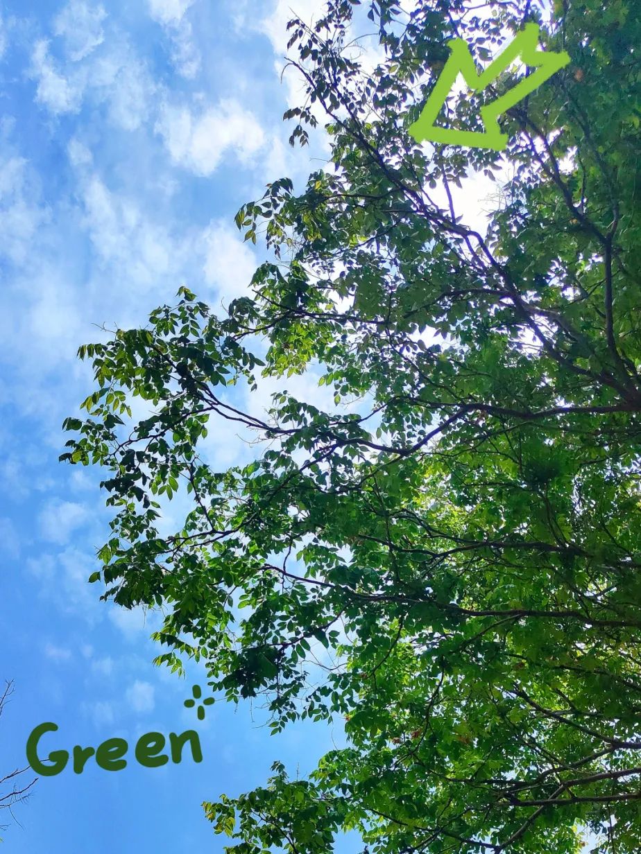 微社区手机版虎扑社区手机版