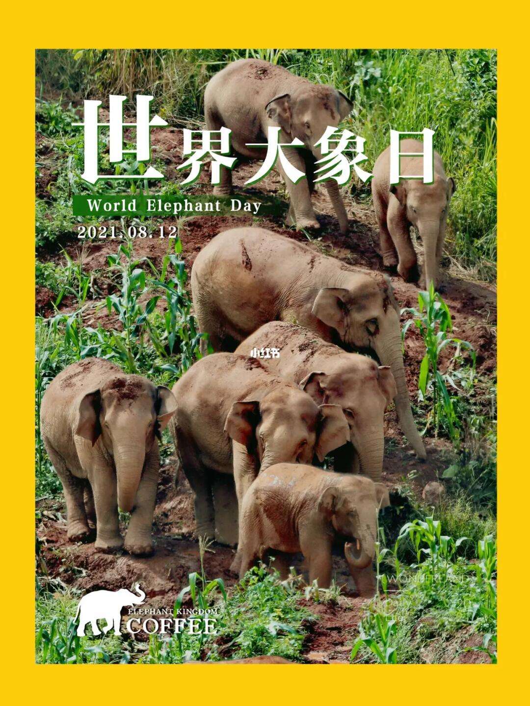 今日大象客户端淘宝买家信誉查询平台